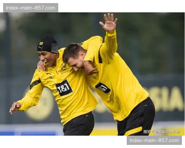 评论:海登海姆的务实防反,是否代表了德甲中小球队的生存样本? 评论:海登海姆的务实防反,是否代表了德甲中小球队的生存样本?