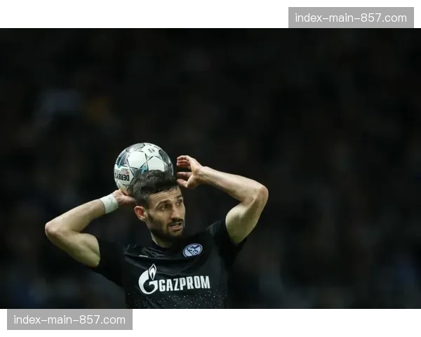 人物聚焦:从德甲引进,弗罗西诺内新援被教练赋予“前场第一道闸”职责 人物聚焦:从德甲引进,弗罗西诺内新援被教练赋予“前场第一道闸”职责