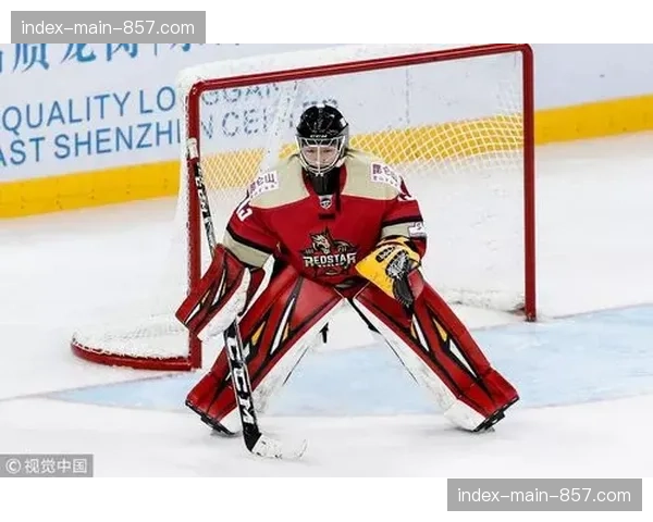 PWHL:蒙特利尔队凭借第三节两粒进球逆转战胜波士顿队 PWHL:蒙特利尔队凭借第三节两粒进球逆转战胜波士顿队