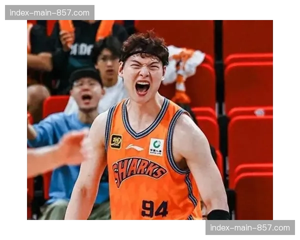 【2026年4月CBA联赛·赛中·现场半决赛京沪大战冲突瞬间，方硕与王哲林发生口角各吃一次技犯